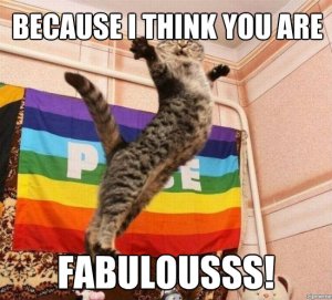 fabulous-cat
